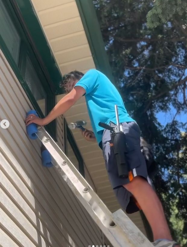 Gallery image of clean windows